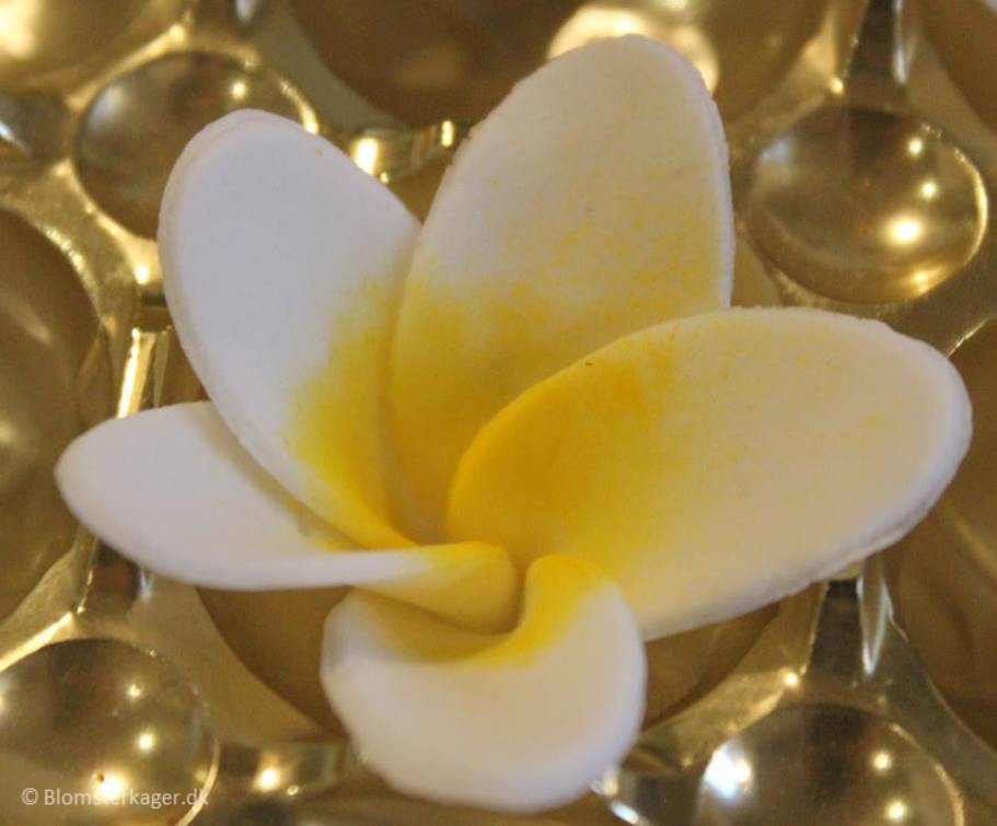 SÃ¥dan laver du sukkerblomster i fondant / gum paste / diy