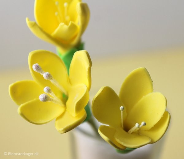 SÃ¥dan laver du sukkerblomster i fondant / gum paste / diy
